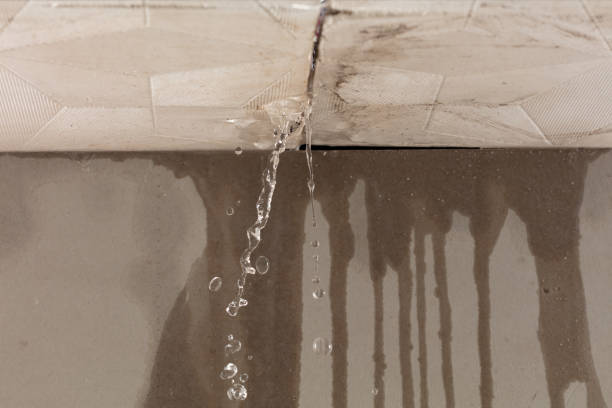 Professional Water Damage Repair technician working in Fischer, TX
